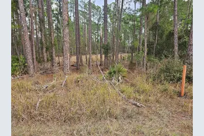 Chinaberry Street, Eustis, FL 32736 - Photo 3