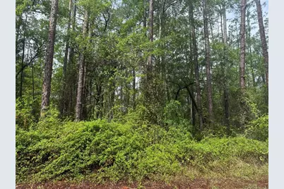 Seminole Avenue, Interlachen, FL 32148 - Photo 5