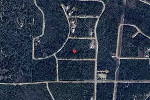 Sandpoint St, Alford, FL 32420 - Photo 1