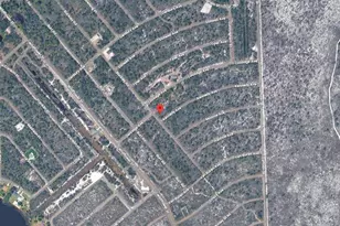 3131 Kennedy Ave, Lake Placid, FL 33852 - Photo 3