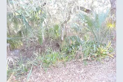 1121 Big Oak Drive, Lake Wales, FL 33898 - Photo 35