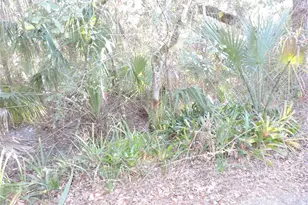 1121 Big Oak Dr, Lake Wales, FL 33898 - Photo 35