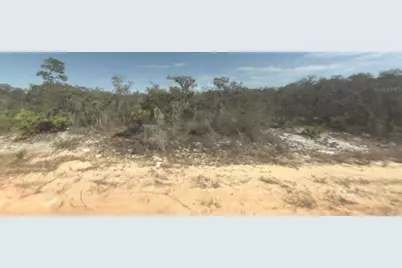 2400 Mink Road, Avon Park, FL 33825 - Photo 1