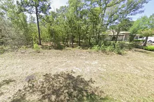 124 Oak Village Blvd S, Homosassa, FL 34446 - Photo 1