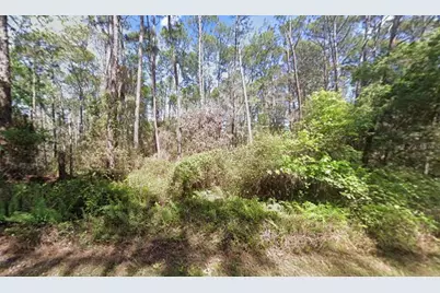416 Palm Way, Georgetown, FL 32139 - Photo 1