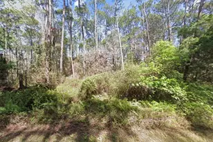 416 Palm Way, Georgetown, FL 32139 - Photo 1