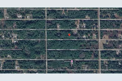 416 Palm Way, Georgetown, FL 32139 - Photo 3