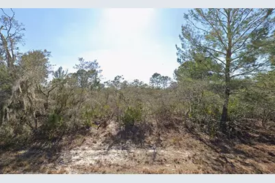 3235 N Dahlia Drive, Lake Placid, FL 33852 - Photo 1