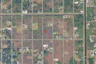 1504 Wells Ave, Lehigh Acres, FL 33972 - Photo 3