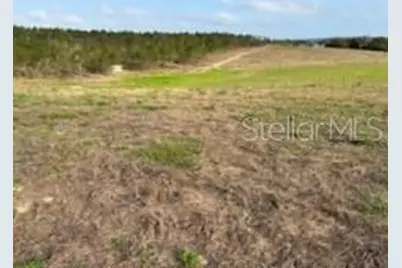 Muncie Road, Babson Park, FL 33827 - Photo 7