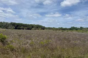 15575 NW 296th St, Okeechobee, FL 34972 - Photo 1