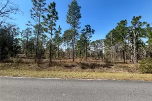 Water Oak Ave, Dunnellon, FL 34431 - Photo 1