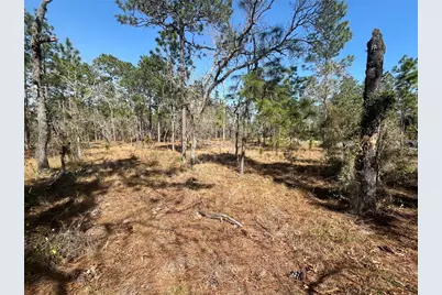 Water Oak Avenue, Dunnellon, FL 34431 - Photo 9