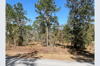 Water Oak Avenue, Dunnellon, FL 34431 - Photo 7