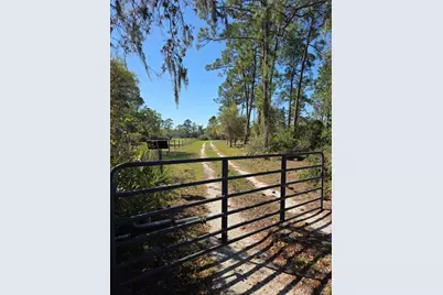 1991 Rosalie Lake Road, Lake Wales, FL 33898 - Photo 45