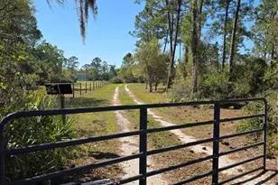 1991 Rosalie Lake Rd, Lake Wales, FL 33898 - Photo 37