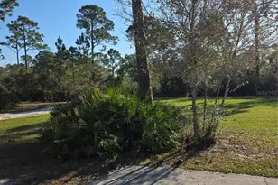 1991 Rosalie Lake Rd, Lake Wales, FL 33898 - Photo 39