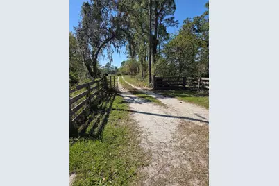 1991 Rosalie Lake Road, Lake Wales, FL 33898 - Photo 35