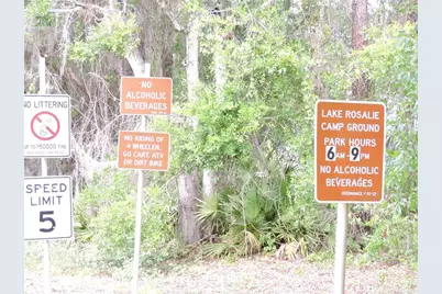294 Tiger Lake Road, Lake Wales, FL 33898 - Photo 51