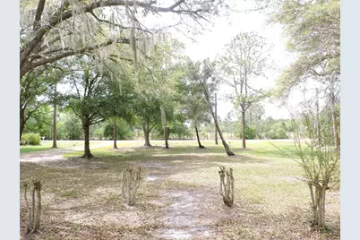 294 Tiger Lake Road, Lake Wales, FL 33898 - Photo 49