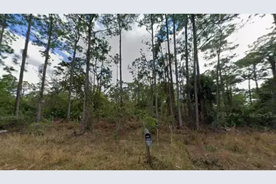 1210 Raphia Street E, Lehigh Acres, FL 33974 - Photo 1