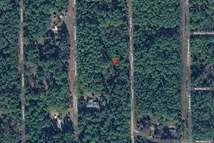 143 Forest St, Georgetown, FL 32139 - Photo 1