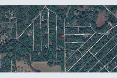 141 E Boundary Drive, Georgetown, FL 32139 - Photo 3