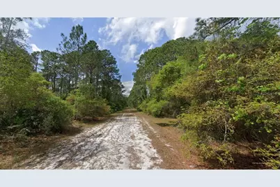 119 Gardenia Avenue, Georgetown, FL 32139 - Photo 7