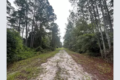 119 Gardenia Avenue, Georgetown, FL 32139 - Photo 5