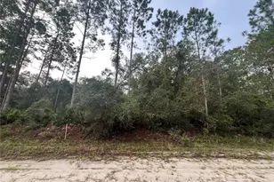 119 Gardenia Ave, Georgetown, FL 32139 - Photo 1