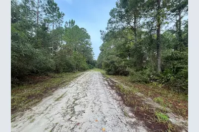 120 Gardenia Avenue, Georgetown, FL 32139 - Photo 7