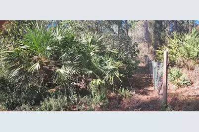 120 Gardenia Avenue, Georgetown, FL 32139 - Photo 5