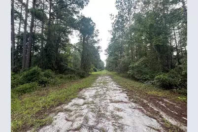 120 Gardenia Avenue, Georgetown, FL 32139 - Photo 1