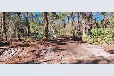 120 Gardenia Avenue, Georgetown, FL 32139 - Photo 1