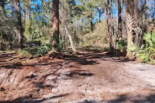 120 Gardenia Ave, Georgetown, FL 32139 - Photo 1