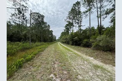 122 Glenside Street, Georgetown, FL 32139 - Photo 9