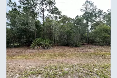 122 Glenside Street, Georgetown, FL 32139 - Photo 5