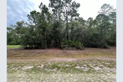 122 Glenside Street, Georgetown, FL 32139 - Photo 3