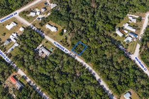 124 Glenside St, Georgetown, FL 32139 - Photo 1