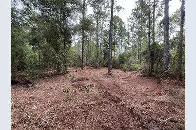 124 Glenside Street, Georgetown, FL 32139 - Photo 3