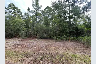 124 Glenside Street, Georgetown, FL 32139 - Photo 9