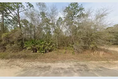 Lot 18 Wallace Street, Interlachen, FL 32148 - Photo 3