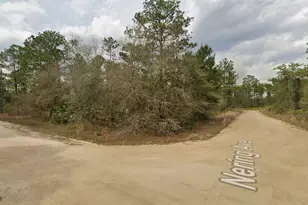 Lot 18 Wallace St, Interlachen, FL 32148 - Photo 1