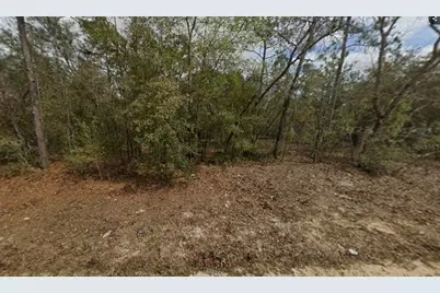 Lot 28 Janet Avenue, Interlachen, FL 32148 - Photo 1
