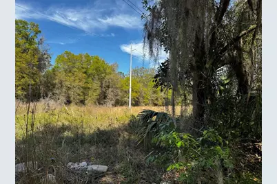 Ne 4th Court, Ocala, FL 34479 - Photo 3