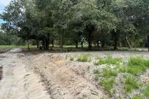 19520 NW 260th St, Okeechobee, FL 34972 - Photo 19