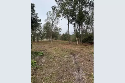 0 West Frostproof Road, Frostproof, FL 33843 - Photo 3