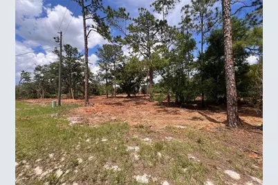Deer Road, Frostproof, FL 33843 - Photo 3