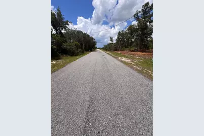 Deer Road, Frostproof, FL 33843 - Photo 5