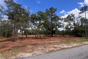Deer Rd, Frostproof, FL 33843 - Photo 1